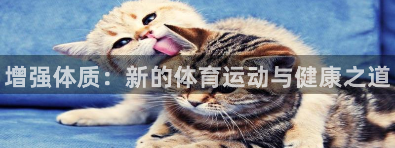 意昂5Kgame包怎么样