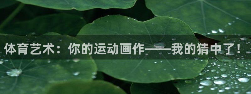 意昂5Kgame4代理