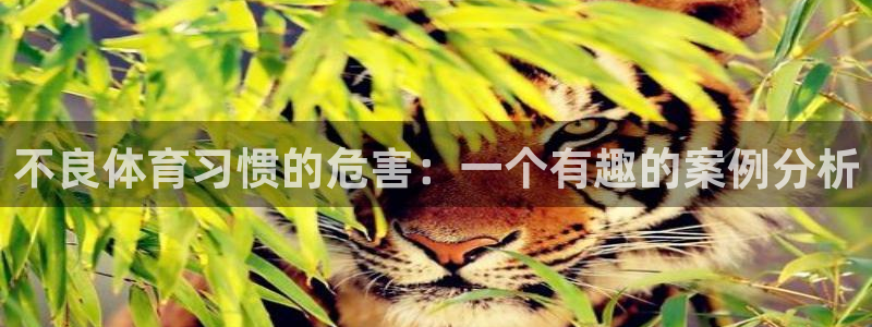 意昂5Kgame集团总部