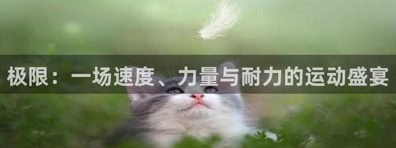 意昂5Kgame2登录入口