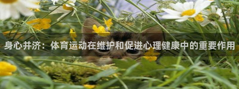 意昂5Kgame凯捷平台注册链接