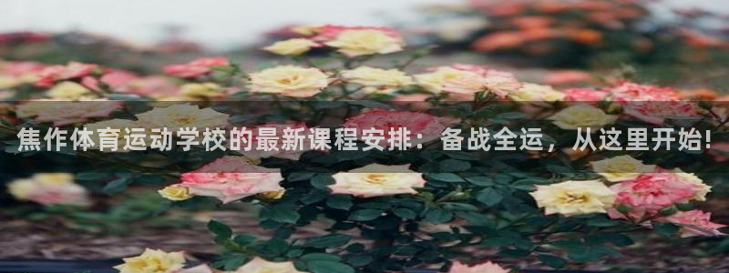 意昂5Kgame体育代理申请流程