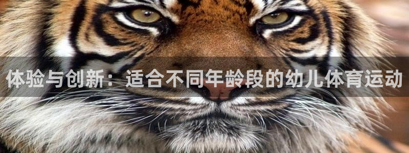 意昂5Kgame2平台登录
