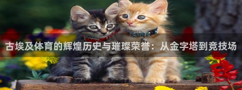 意昂5Kgame2官网