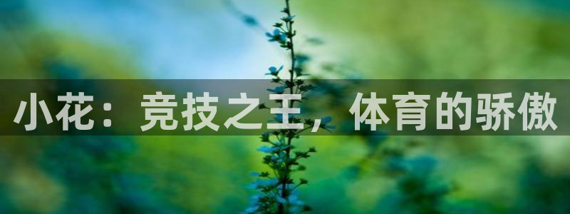 意昂5Kgame登录注册