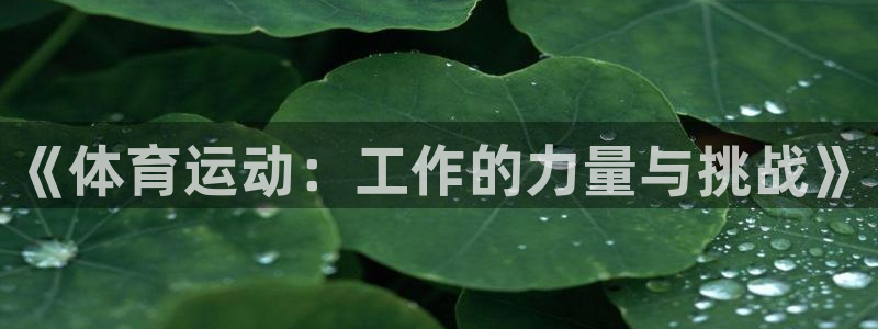 意昂5Kgame体育凯捷平台注册