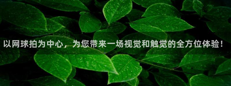 意昂5Kgame体育3
