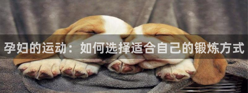 意昂5Kgame5